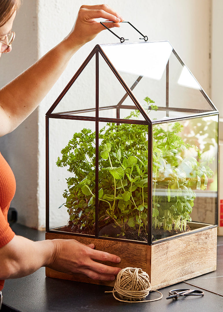 Hochwertiges Anzucht- und Gewächshaus