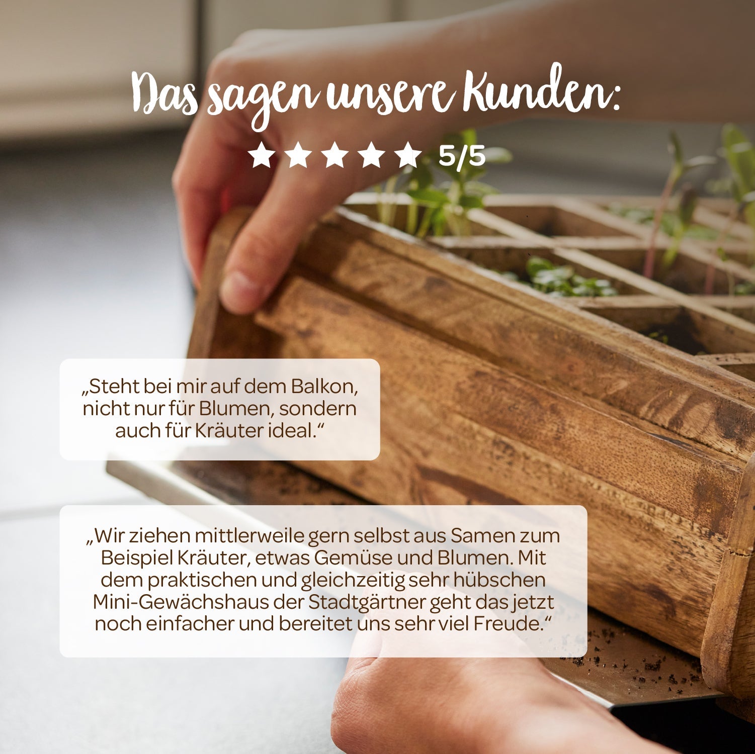 Hochwertiges Anzuchthaus mit 16 Fächern