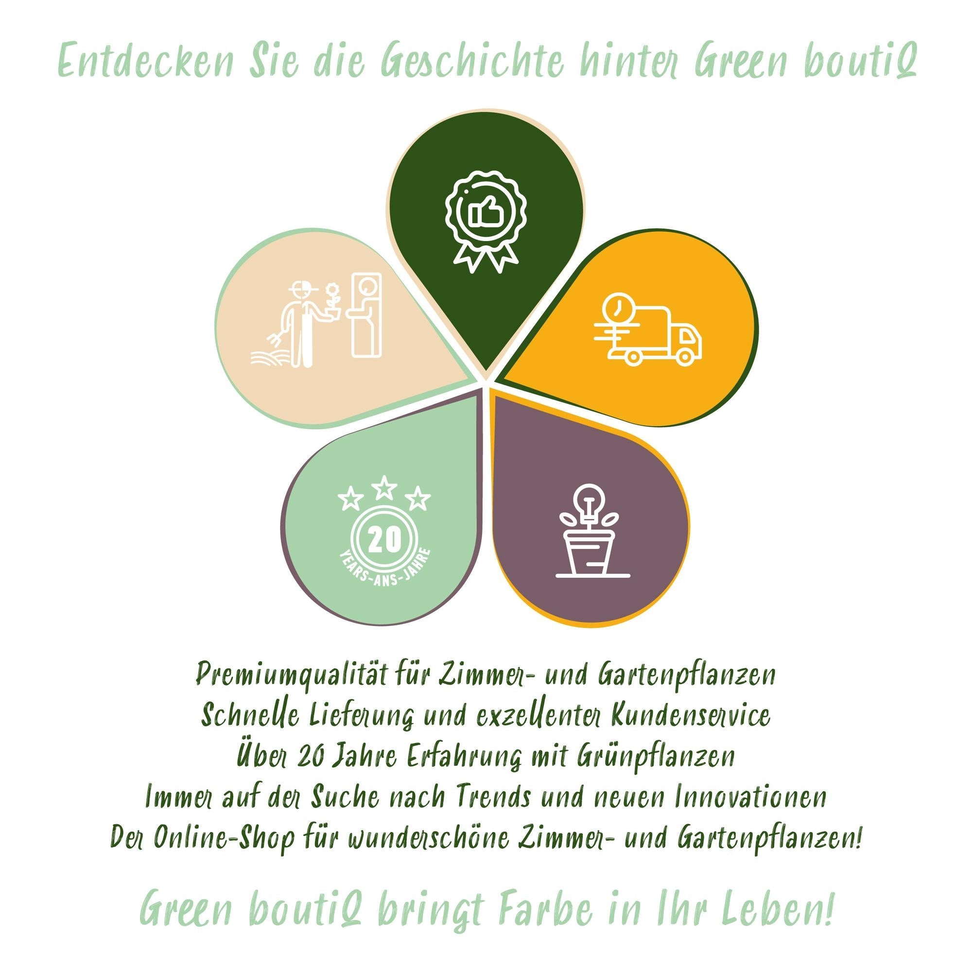 Taybeere Rubus Tayberry winterhart 6 Pflanzen Ø9cm Höhe 30cm – Kreuzung aus Himbeere & Brombeere – Ertragreiche Obstpflanze für Garten & Balkon